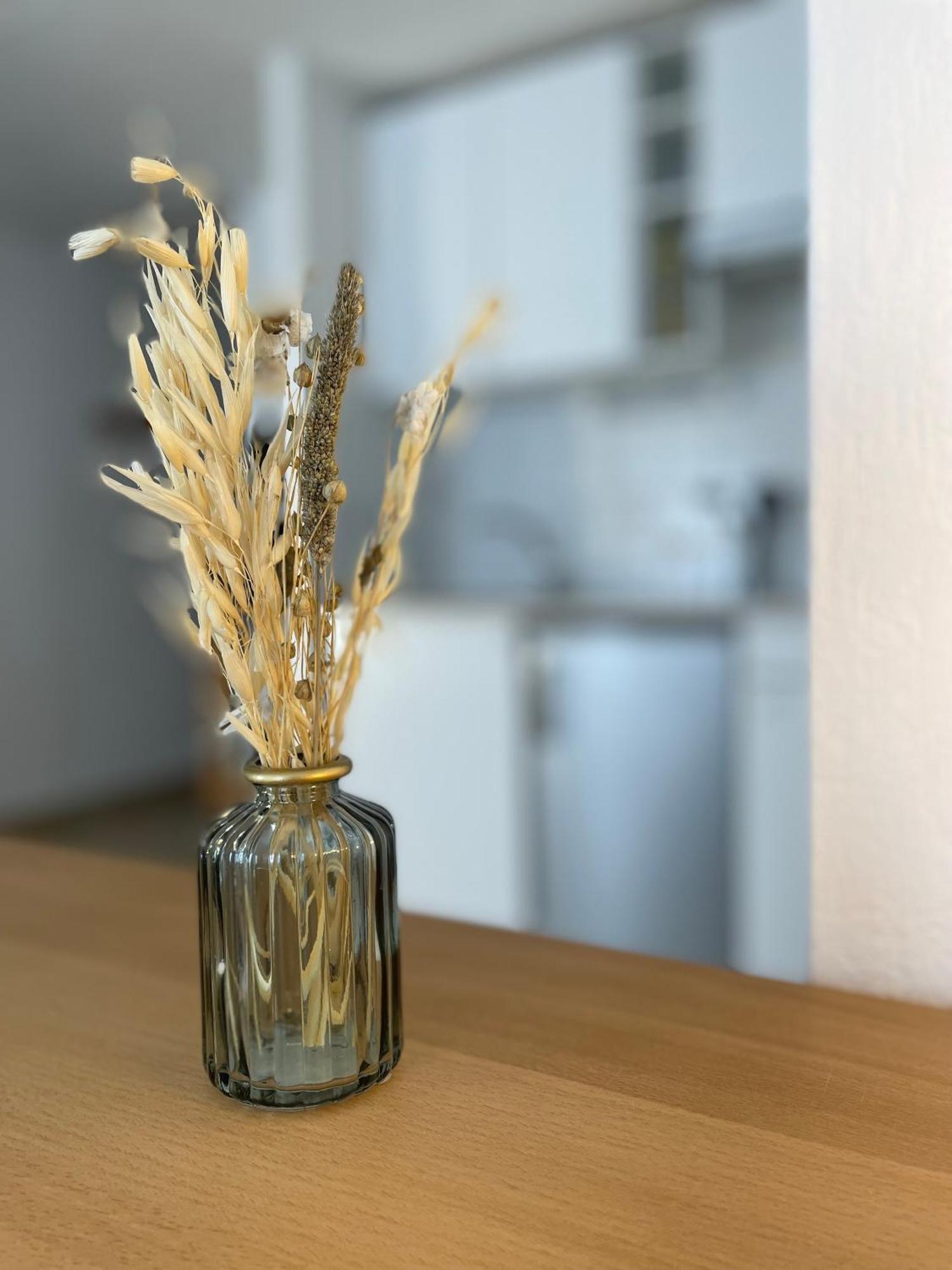 Spacieux Studio « Boheme » Digne-les-Bains Eksteriør billede